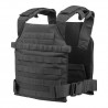 Sentry Plate Carrier