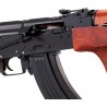 AK AIM acier & bois 1,0J Double Bell