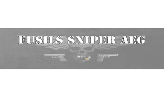 Fusils Sniper électrique