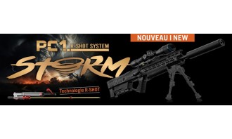 Fusils Sniper Co²